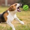 Interactive Rubber Pet Dog Toy Interactive Rubber Pet Dog Toy