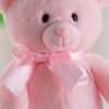 Just Because My 1st Teddy - Super Soft Plush Bear for Babies, 33CM