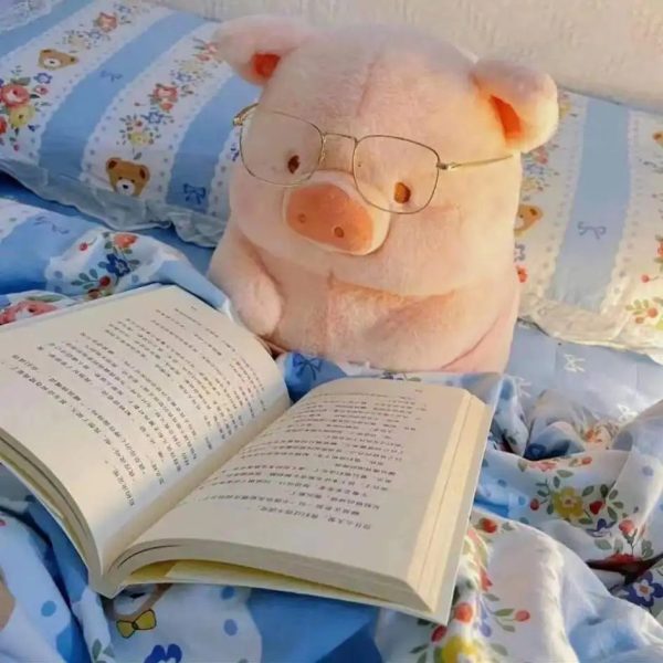 Kawaii Anime Pig Plush Toy - Soft Toast Pillow for Girls' Xmas Gift