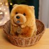 Kawaii Fluffy Chow Chow Plush Toy - Cute Lifelike Puppy for Kids Kawaii Fluffy Chow Chow Plush Toy - Cute Lifelike Puppy for Kids