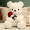 Kawaii Teddy Bear with Roses Plush Romantic Gift