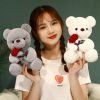 Kawaii Teddy Bear with Roses Plush Romantic Gift