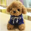 Kawaii Teddy Dog Plush Toy in Hoodie - Perfect Gift for Kids! Kawaii Teddy Dog Plush Toy in Hoodie - Perfect Gift for Kids!
