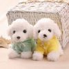 Kawaii Teddy Dog Plush Toy in Hoodie - Perfect Gift for Kids! Kawaii Teddy Dog Plush Toy in Hoodie - Perfect Gift for Kids!