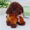 Kawaii Teddy Dog Plush Toy in Hoodie - Perfect Gift for Kids! Kawaii Teddy Dog Plush Toy in Hoodie - Perfect Gift for Kids!