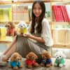 Kawaii Teddy Dog Plush Toy in Hoodie - Perfect Gift for Kids! Kawaii Teddy Dog Plush Toy in Hoodie - Perfect Gift for Kids!