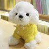 Kawaii Teddy Dog Plush Toy in Hoodie - Perfect Gift for Kids! Kawaii Teddy Dog Plush Toy in Hoodie - Perfect Gift for Kids!