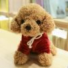 Kawaii Teddy Dog Plush Toy in Hoodie - Perfect Gift for Kids! Kawaii Teddy Dog Plush Toy in Hoodie - Perfect Gift for Kids!