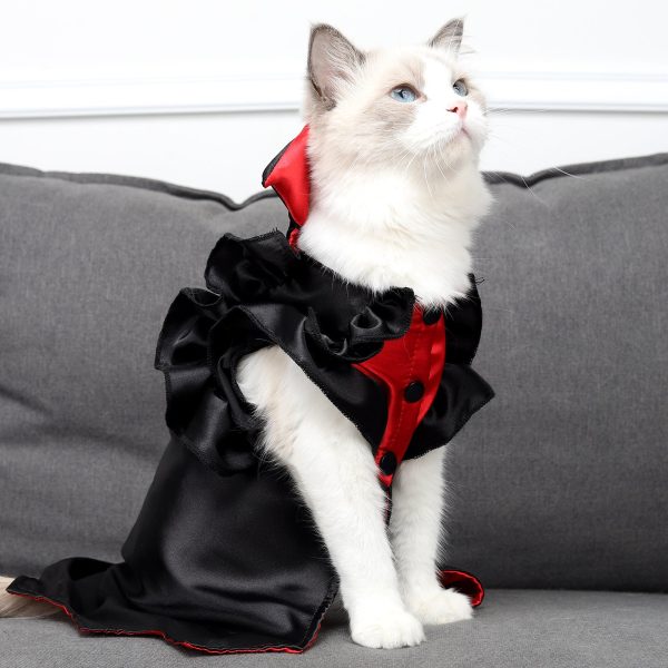 Kitty Cat Vampire Costume Kitty Cat Vampire Costume