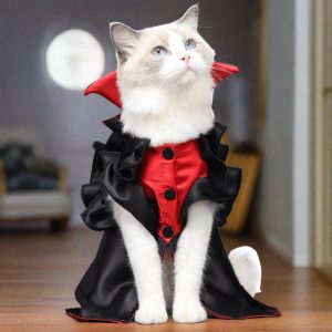 Kitty Cat Vampire Costume
