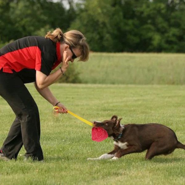 Large Dogs Bite Training Tugs Pillow Nylon Rope Handle Large Dogs Bite Training Tugs Pillow Nylon Rope Handle