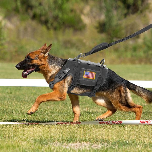 Large Dogs Training Harnesses With Pouches Large Dogs Training Harnesses With Pouches
