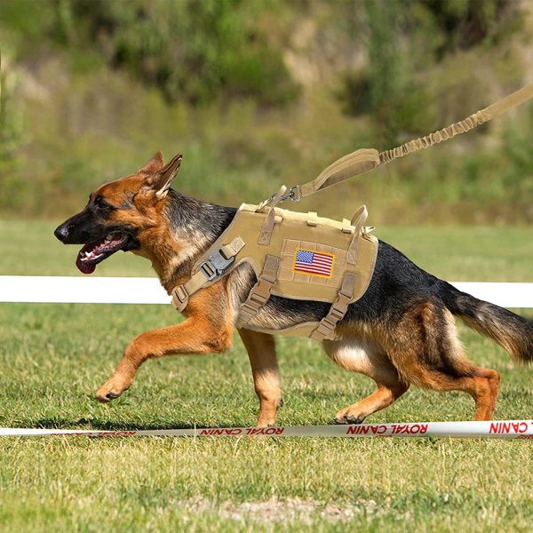 Large Dogs Training Harnesses With Pouches Large Dogs Training Harnesses With Pouches
