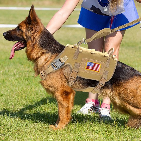 Large Dogs Training Harnesses With Pouches Large Dogs Training Harnesses With Pouches
