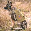 Large Dogs Training Harnesses With Pouches Large Dogs Training Harnesses With Pouches