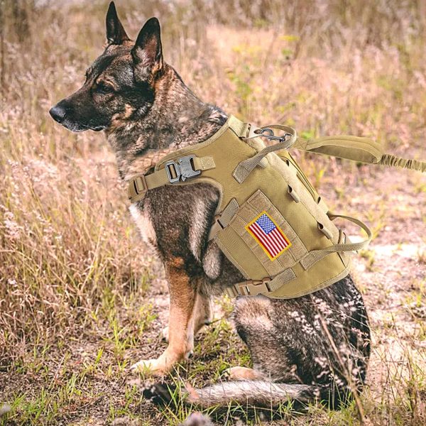 Large Dogs Training Harnesses With Pouches Large Dogs Training Harnesses With Pouches