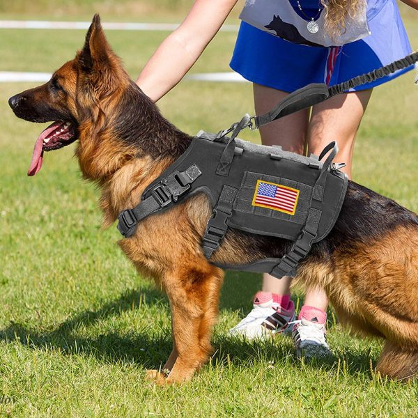 Large Dogs Training Harnesses With Pouches Large Dogs Training Harnesses With Pouches