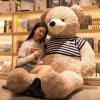 Large Kawaii Teddy Bear Plush Pillow 62cm