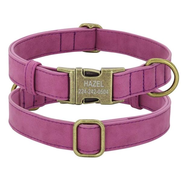 Leader Dog ID Collar Leader Dog ID Collar