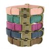 Leader Dog ID Collar Leader Dog ID Collar