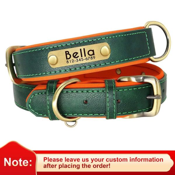 Leather ID Dog Collar Leather ID Dog Collar