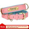 Leather ID Dog Collar Leather ID Dog Collar