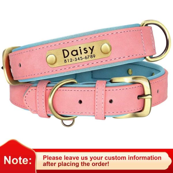 Leather ID Dog Collar Leather ID Dog Collar