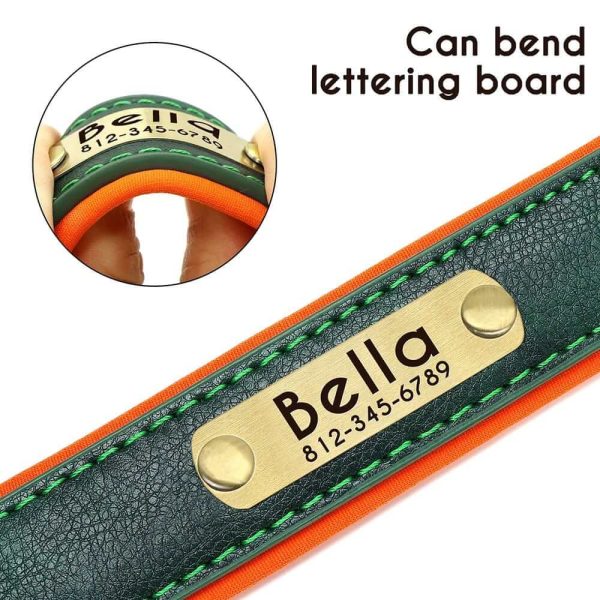 Leather ID Dog Collar Leather ID Dog Collar