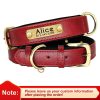 Leather ID Dog Collar Leather ID Dog Collar