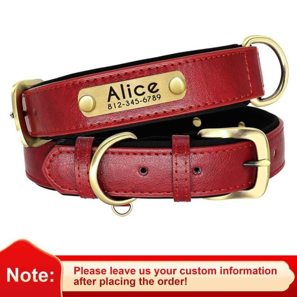 Leather ID Dog Collar Leather ID Dog Collar