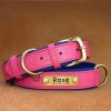 Leather ID Dog Collar Leather ID Dog Collar