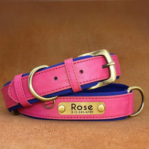 Leather ID Dog Collar Leather ID Dog Collar