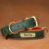 Leather ID Dog Collar Leather ID Dog Collar