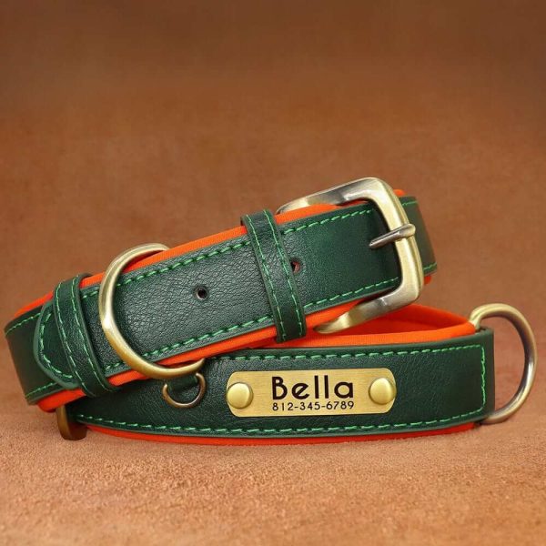 Leather ID Dog Collar Leather ID Dog Collar