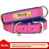 Leather ID Dog Collar Leather ID Dog Collar