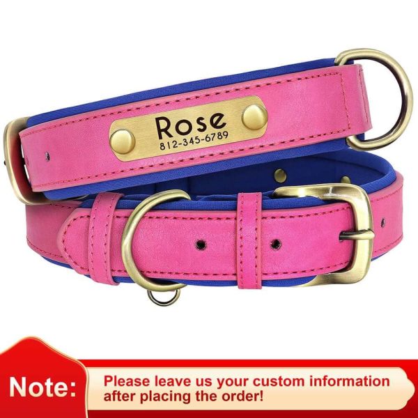 Leather ID Dog Collar Leather ID Dog Collar