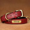 Leather ID Dog Collar Leather ID Dog Collar