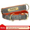 Leather ID Dog Collar Leather ID Dog Collar
