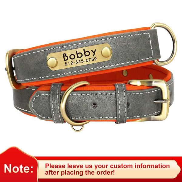 Leather ID Dog Collar Leather ID Dog Collar