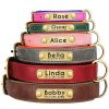 Leather ID Dog Collar Leather ID Dog Collar