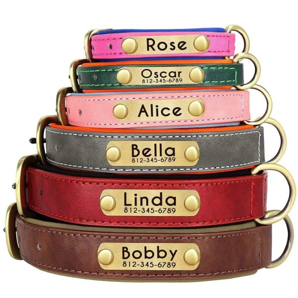 Leather ID Dog Collar Leather ID Dog Collar