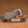 Leather ID Dog Collar Leather ID Dog Collar