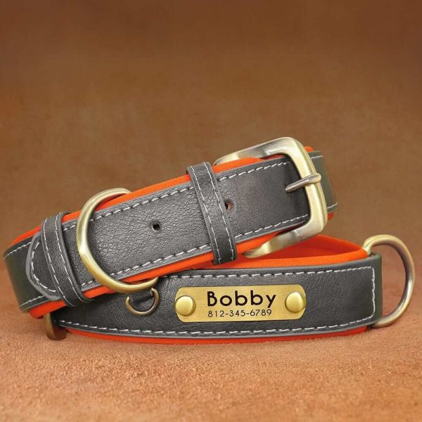 Leather ID Dog Collar Leather ID Dog Collar