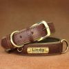 Leather ID Dog Collar Leather ID Dog Collar