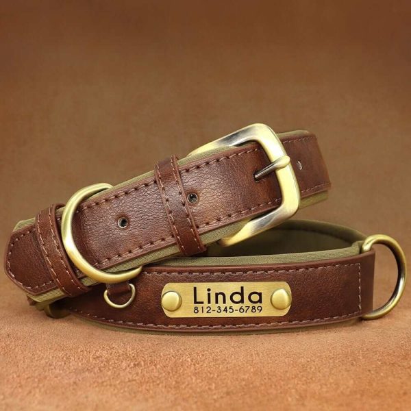 Leather ID Dog Collar Leather ID Dog Collar