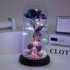 LED Enchanted Galaxy Rose in Glass Dome with Fairy Lights for Valentine’s Day and Christmas LED Enchanted Galaxy Rose in Glass Dome with Fairy Lights for Valentine’s Day and Christmas