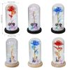 LED Enchanted Galaxy Rose in Glass Dome with Fairy Lights for Valentine’s Day and Christmas LED Enchanted Galaxy Rose in Glass Dome with Fairy Lights for Valentine’s Day and Christmas