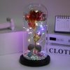 LED Enchanted Galaxy Rose in Glass Dome with Fairy Lights for Valentine’s Day and Christmas LED Enchanted Galaxy Rose in Glass Dome with Fairy Lights for Valentine’s Day and Christmas