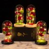 LED Galaxy Three Rose Glass Dome Ornament LED Galaxy Three Rose Glass Dome Ornament