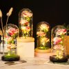 LED Galaxy Three Rose Glass Dome Ornament LED Galaxy Three Rose Glass Dome Ornament